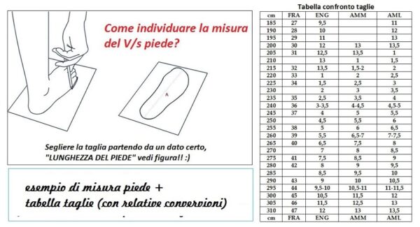 Rondò/Variant C - immagine 7